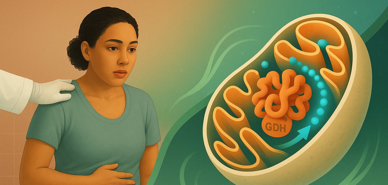 Das Verständnis der Aktivität des Glutamatdehydrogenase (GDH) Enzyms | March