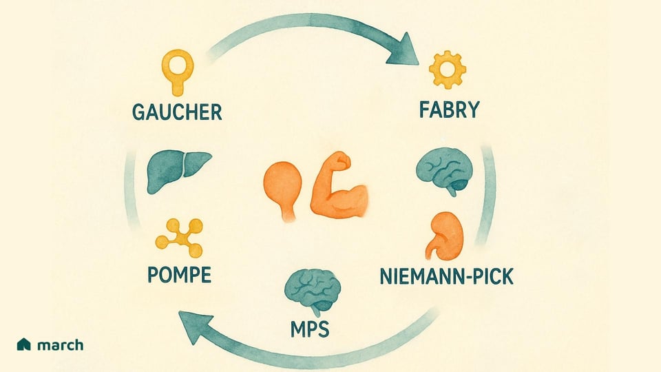 A Deeper Look at Enzyme Replacement Therapy for LSDs